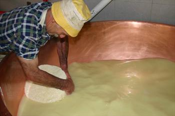 Lavorazione del formaggio in una malga